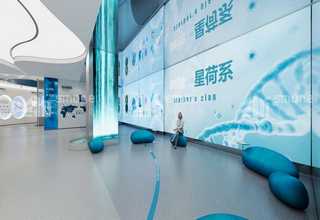 公司营业执照需要哪些材料