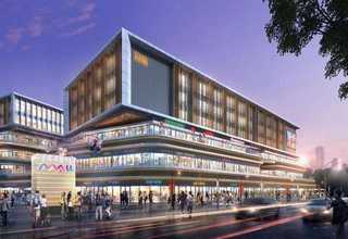 中宁黄花菜加工